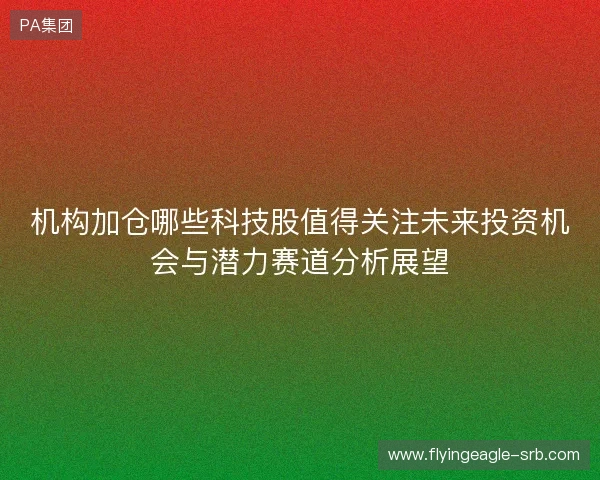 机构加仓哪些科技股值得关注未来投资机会与潜力赛道分析展望