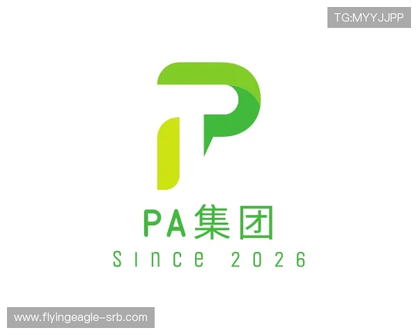 知道PA集团网站